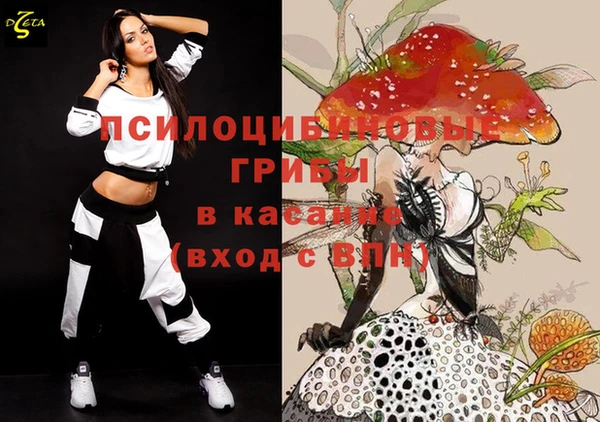 мяу мяу мука Алексин