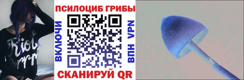 Псилоцибиновые грибы MAGIC MUSHROOMS  кракен tor  маркетплейс официальный сайт  продажа наркотиков  Мирный 